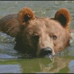 Meet your Posher, Connie